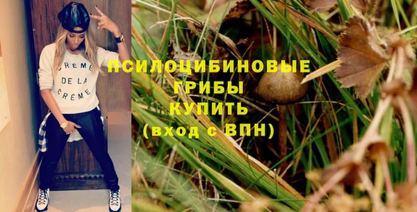 винт Аркадак