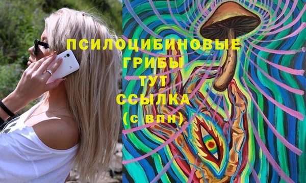 прущие крисы Арсеньев