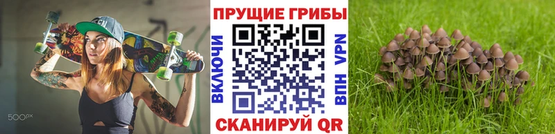 Псилоцибиновые грибы Psilocybine cubensis  дарнет шоп  omg зеркало  Гаврилов-Ям 